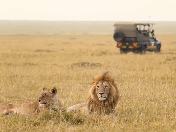 Ker and Downey's Sensory Itinerary