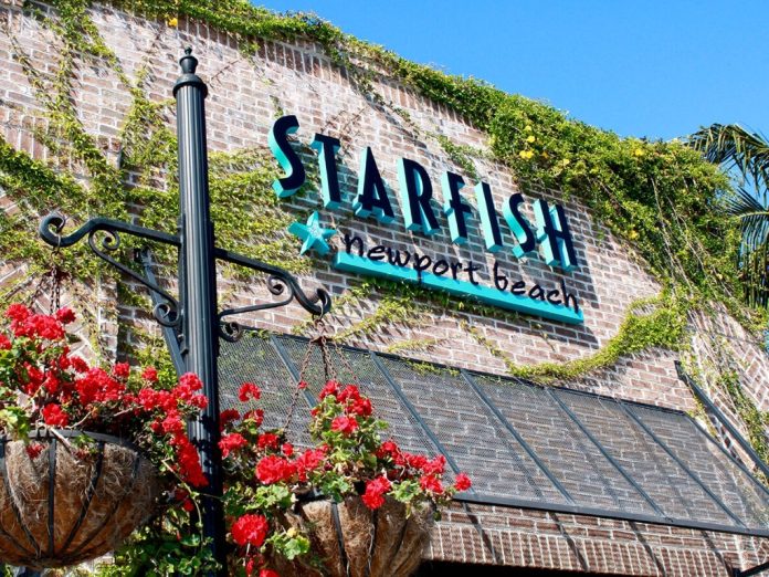 Indulge in Authentic Asian Coastal Flavors at Starfish