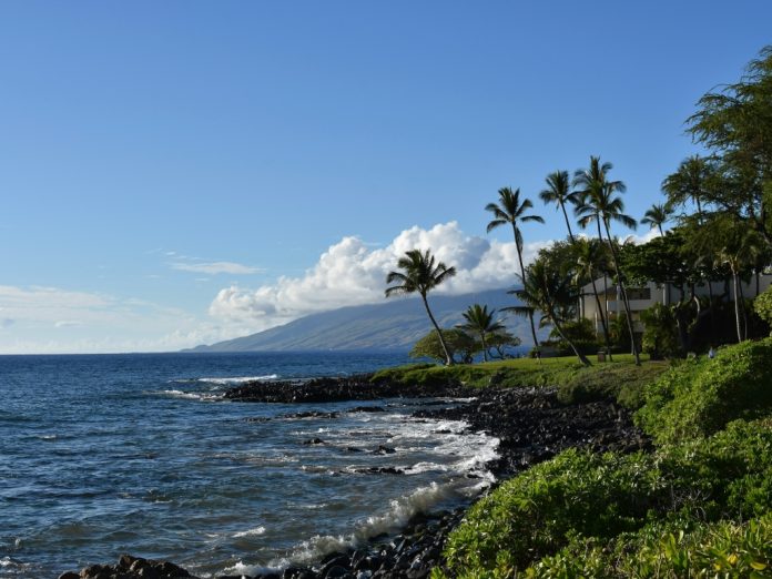 Nobu Joins Grand Wailea