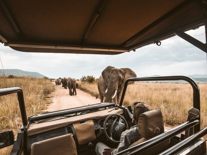 African Travel Launches 2026 Safaris