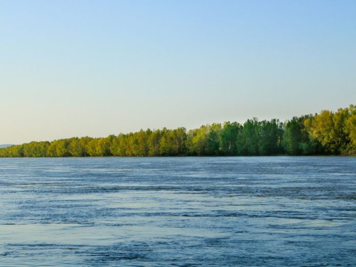 Coca-Cola's Efforts to Safeguard Water Resources