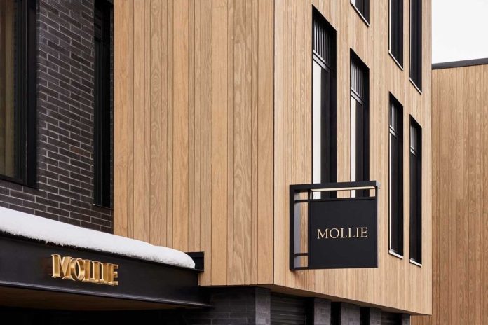 Mollie Hotel