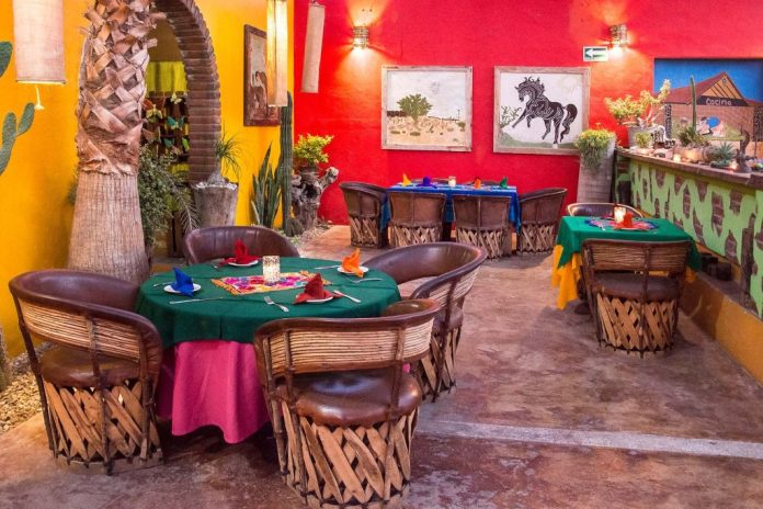 Vibrant Nights and Flawless Bites