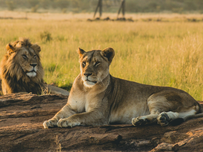 Magashi Peninsula Camp Launching in September 2025