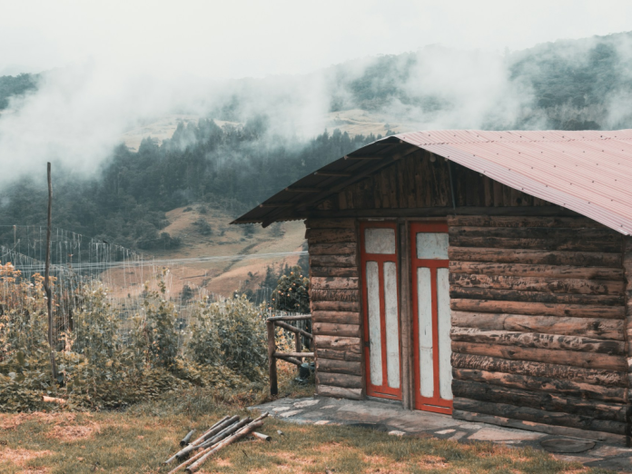 The Rise of Digital Detox Retreats