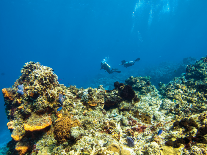 Prada-and-UNESCO-Launch-Ocean-Fund